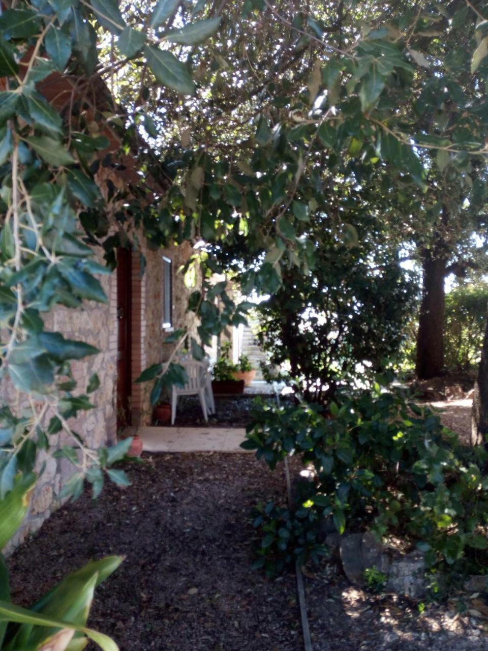 Case Cordovani Magliano in Toscana Exterior foto